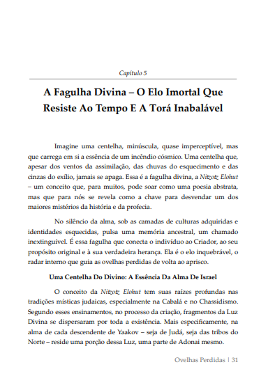 * "LIVRO FÍSICO" - OVELHAS PERDIDAS - O Enigma Messiânico de Israel e as Nações -Ap. Agnaldo Felipe Silva