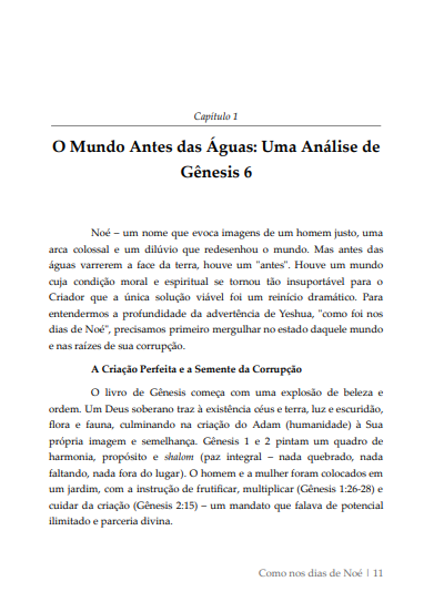 * " LIVRO FÍSICO " / Como nos DIAS de NOÉ - Ap.Agnaldo Felipe Silva