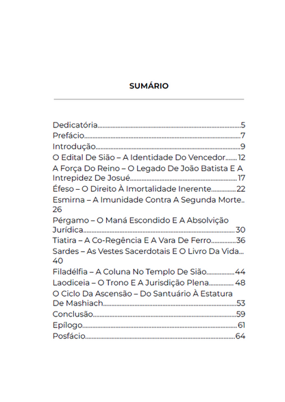* " LIVRO FÍSICO " - OS VENCEDORES - Ap.Agnaldo Silva