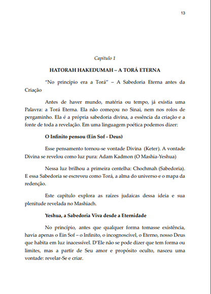 * " LIVRO FÍSICO " / A TORÁ NO CORAÇÃO - A Lei de Deus Escrita em Tábuas de Carne - Ap.Agnaldo Felipe Silva.