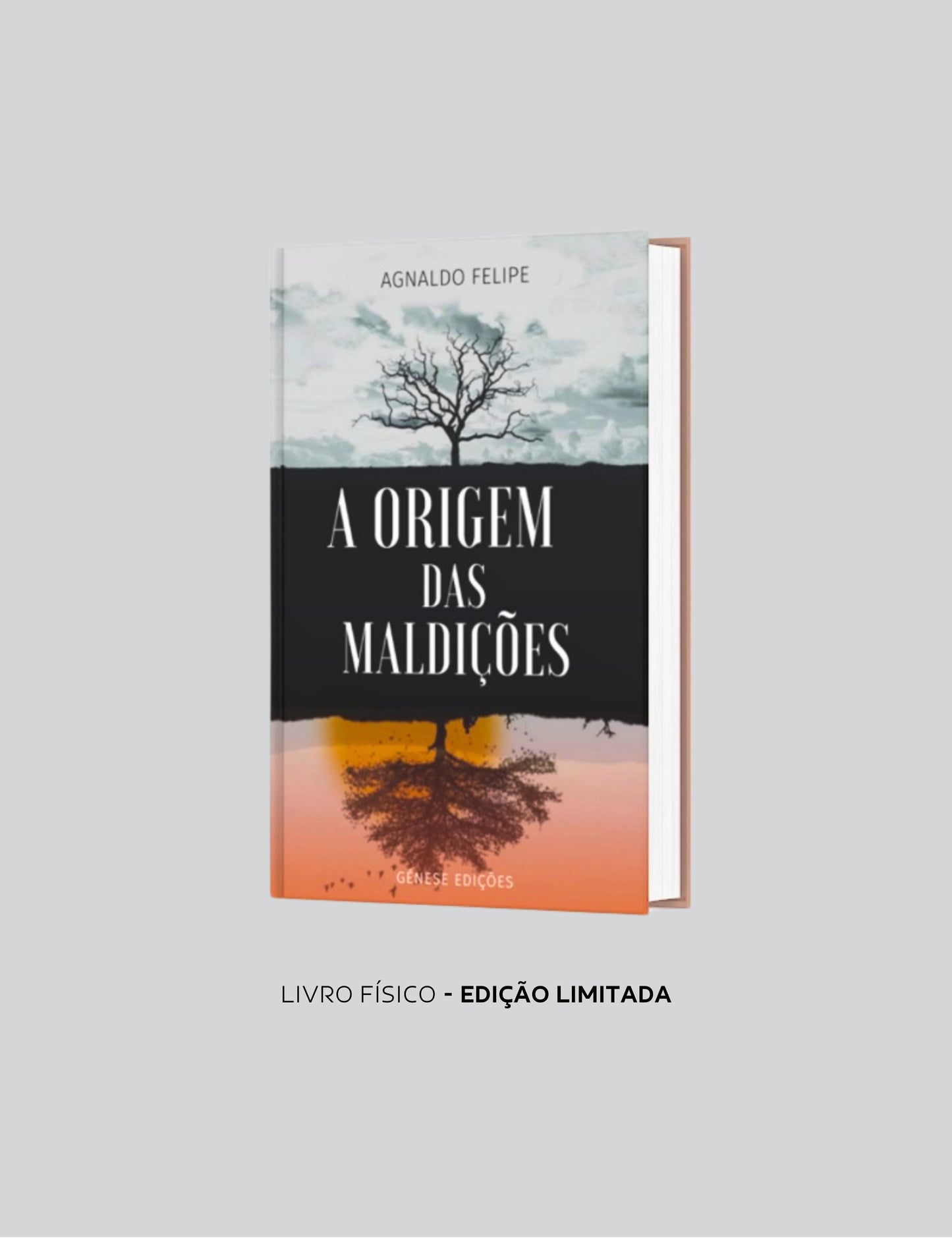 LIVRO FÍSICO - A ORIGEM DAS MALDIÇÕES - AP.AGNALDO FELIPE SILVA