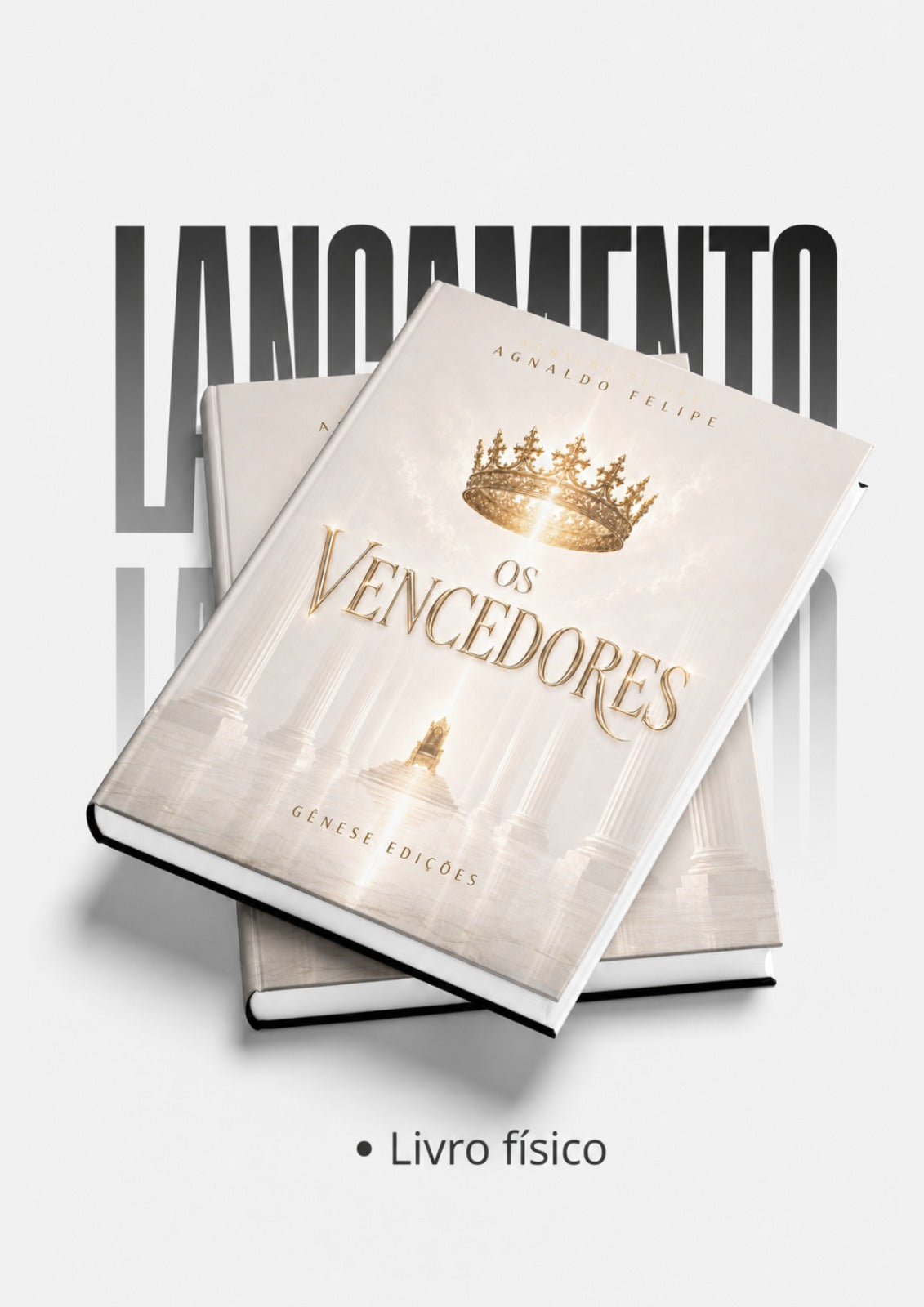 * " LIVRO FÍSICO " - OS VENCEDORES - Ap.Agnaldo Silva