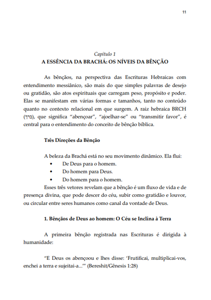* " LIVRO FÍSICO " / BRACHÁ - O Código da Benção - AP. Agnaldo Felipe Silva.